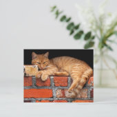 Ziegelmauer Postkarte (Stehend Vorderseite)