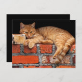 Ziegelmauer Postkarte (Vorne/Hinten)