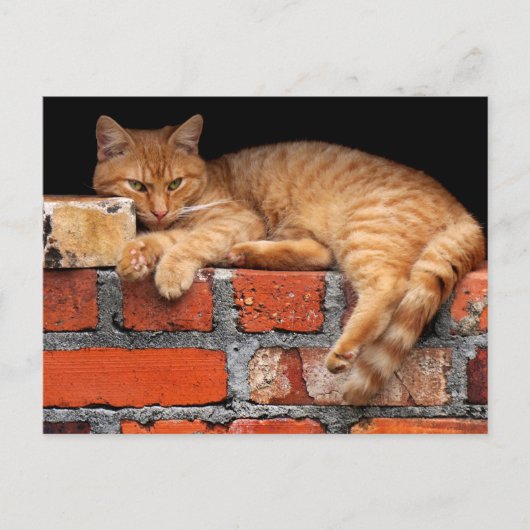 Ziegelmauer Postkarte (Vorderseite)