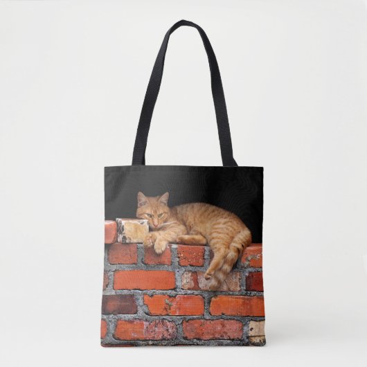 Ziegelmauer Tasche (Vorderseite)