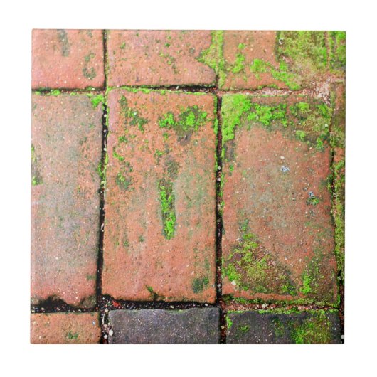 Ziegelstein-Gehweg Fliese (Vorderseite)