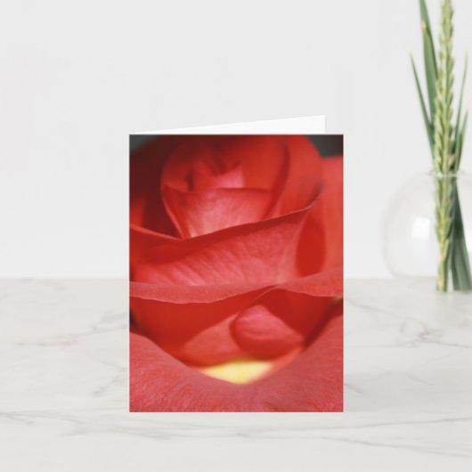 Ziegelstein-Rosen-Anmerkungs-Karte Karte (Vorderseite)