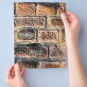 ZIEGELSTEINE FLYER (Hand)