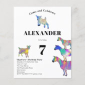 Ziegen als Geburtstagsparty (Vorderseite)