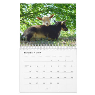 Ziegen auf Bauernhof-Kalender des Gras-KNS Kalender