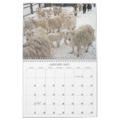 Ziegen auf der Ranch Kalender (Jan 2027)