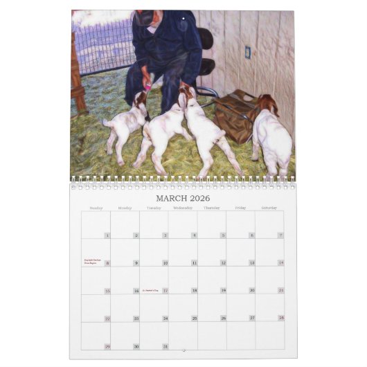 Ziegen auf der Ranch Kalender (Mär 2026)