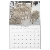 Ziegen auf der Ranch Kalender (Jan 2026)