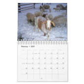 Ziegen auf der Ranch v3-Kalender Kalender (Feb 2027)