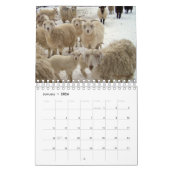 Ziegen auf der Ranch v3-Kalender Kalender (Jan 2026)