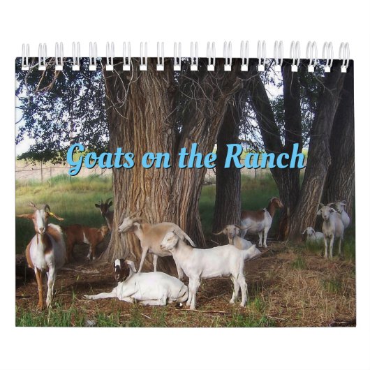 Ziegen auf der Ranch v3-Kalender Kalender (Titelbild)