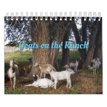 Ziegen auf der Ranch v3-Kalender