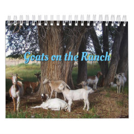 Ziegen auf der Ranch v3-Kalender Kalender