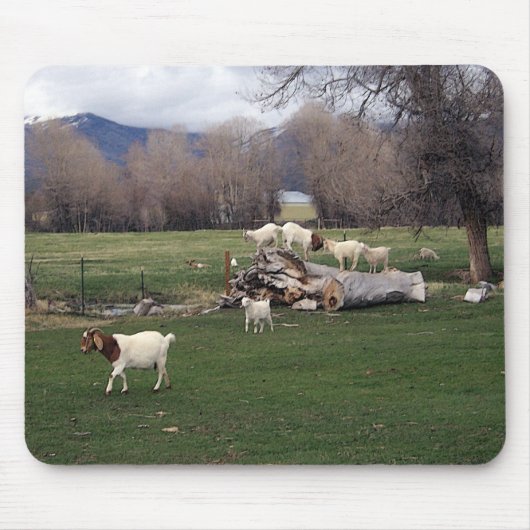 Ziegen auf einem Klotz Mousepad (Vorne)