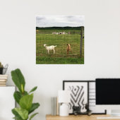 Ziegen auf einem landwirtschaftlichen Betrieb Poster (Heimbüro)