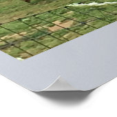 Ziegen auf einem landwirtschaftlichen Betrieb Poster (Ecke)