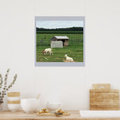 Ziegen auf einem landwirtschaftlichen Betrieb Poster (Küche)