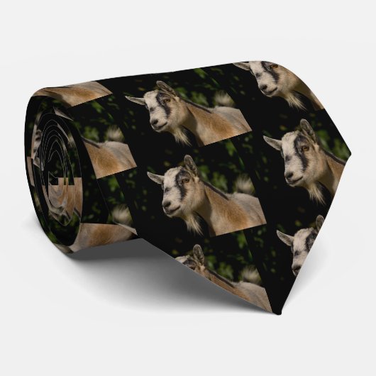 Ziegen-aufpassende Krawatte (Gerollt)