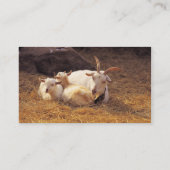 Ziegen-Bauers-Geschäfts-Karte Visitenkarte (Rückseite)