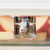Ziegen Etiketten (Befestigt)