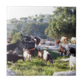 Ziegen Fliese (Vorderseite)