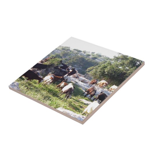 Ziegen Fliese (Seite)