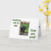 ZIEGEN FLÜCHTIGE BLICK AUSSAGEN **WIE SIND SIE?*** KARTE (Gelbe Blume)