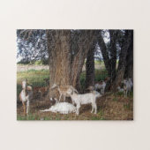 Ziegen in der Werft Puzzle (Horizontal)