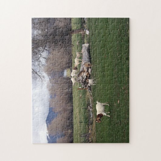 Ziegen in einem Protokoll Puzzle (Vertikal)