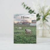 Ziegen in Kropyvnyk Ukraine Postkarte (Stehend Vorderseite)