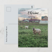 Ziegen in Kropyvnyk Ukraine Postkarte (Vorne/Hinten)