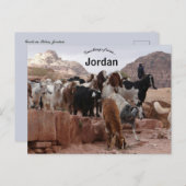 Ziegen in Petra Jordan Postkarte (Vorne/Hinten)