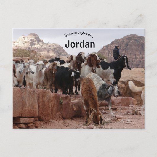 Ziegen in Petra Jordan Postkarte (Vorderseite)