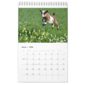 Ziegen-jährlicher Kalender 2018 (Mär 2026)