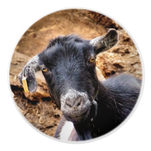 ZIEGEN KERAMIKKNAUF (Vorderseite)