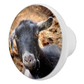 ZIEGEN KERAMIKKNAUF (Rechts)