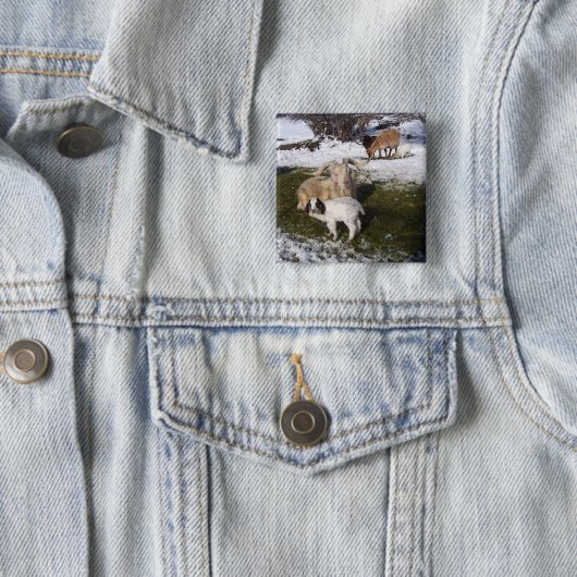 Ziegen-Kind in Snowy-Gras Button (Beispiel)