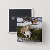 Ziegen-Kind in Snowy-Gras Button (Vorne & Hinten)
