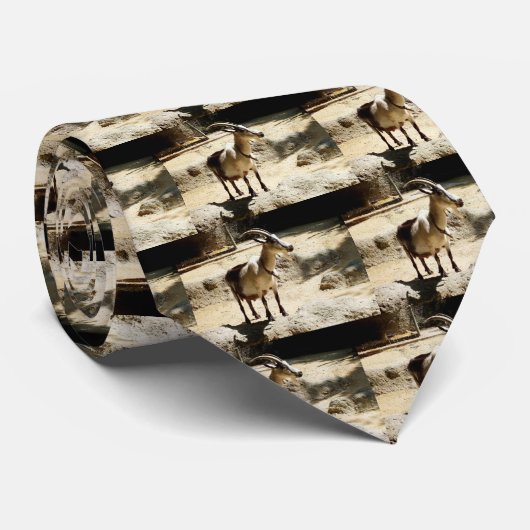 Ziegen Krawatte (Gerollt)