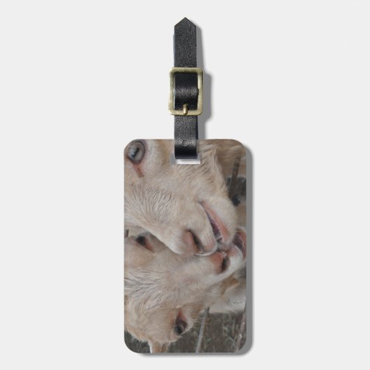 Ziegen-Paare Gepäckanhänger (Vorderseite vertikal)