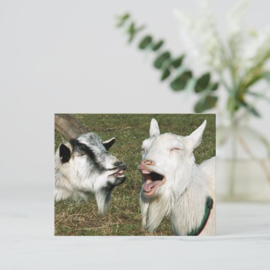 Ziegen Postkarte (Stehend Vorderseite)