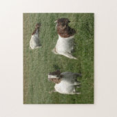 Ziegen-Puzzlespiel Puzzle (Vertikal)