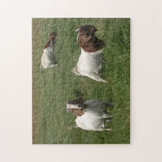 Ziegen-Puzzlespiel Puzzle (Vertikal)