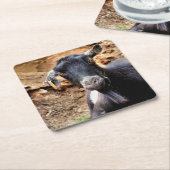 ZIEGEN RECHTECKIGER PAPPUNTERSETZER (angewinkelt)