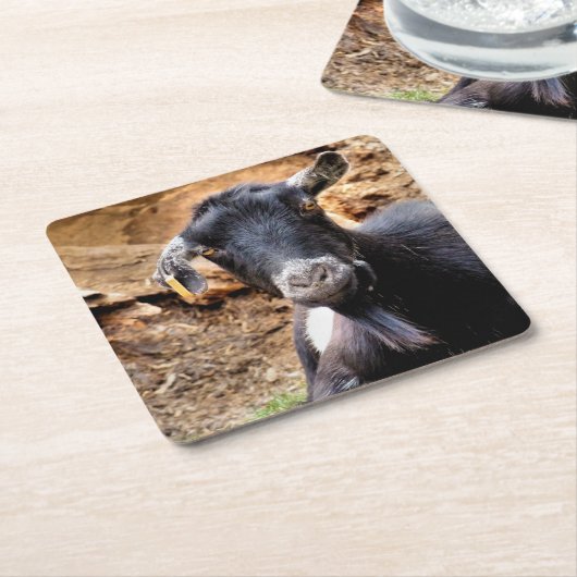 ZIEGEN RECHTECKIGER PAPPUNTERSETZER (angewinkelt)