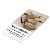 Ziegen schnuppern magnet (Linke Seite)