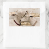 Ziegen schnuppern rechteckiger aufkleber (Tasche)