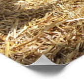 Ziegen Sonnenbaden Poster (Ecke)