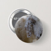 Ziegen stellen das Lächeln gegenüber! Button (Vorne & Hinten)