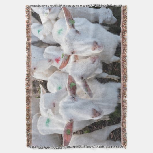 Ziegen Tiere Decke (Vorderseite Vertikal)